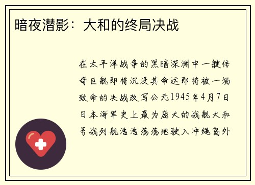 暗夜潜影：大和的终局决战